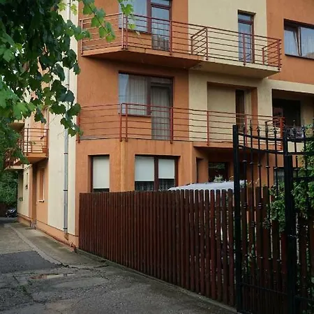 Vila Sofia Evelyn 아파트 클루지나포카